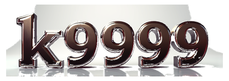 k9999 logo